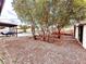 Fenced backyard with pool, covered patio, storage shed, mature trees, and rock landscaping at 4881 E Imperial Ave, Las Vegas, NV 89104