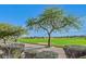 Scenic view of the lush golf course; mountains in the distance with neighborhood homes in the background at 5068 Rivedro St, Las Vegas, NV 89135