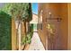 Cozy side yard featuring a narrow walkway, string lights, and mature trees at 5380 Flowing Spring St, Las Vegas, NV 89122