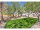 This lush backyard features a small grassy area surrounded by mature trees, combining natural beauty with modern landscaping at 1731 Sherwin Ln, Las Vegas, NV 89156