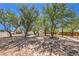 This spacious backyard is graced with mature trees, offering natural beauty and shade for outdoor activities at 1731 Sherwin Ln, Las Vegas, NV 89156