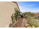 Brick walkway in side yard near stucco wall with garden area and cacti at 2151 Bannerwood St, Henderson, NV 89044