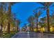 Charming community retail street with palm trees, benches, and inviting storefronts at 2185 High Mesa Dr, Henderson, NV 89012