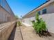 Side yard with gravel, greenery, and block wall offering privacy and space at 3431 Cottage Thistle Dr, Laughlin, NV 89029