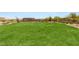 Expansive green park area, perfect for recreation and community events at 390 Coastal Redwood St, Las Vegas, NV 89138