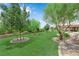 Lush green backyard featuring mature trees, manicured lawn, and a glimpse of the backyard patio with shade covering at 4455 W Ford Ave, Las Vegas, NV 89139
