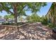 Brick walkway with mature tree and landscaping, enhancing curb appeal at 639 I Ave, Boulder City, NV 89005