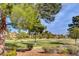 Golf course with blue skies and rows of houses in the background at 8591 Heather Downs Dr, Las Vegas, NV 89113