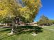 Scenic view of the green space with mature trees, manicured lawn, and walking path in the community at 10805 Hollow Creek Ln, Las Vegas, NV 89144