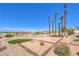 Desert landscaped backyard area featuring palm trees and small grass patch, with panoramic views at 1157 Morning Sun Way, Las Vegas, NV 89110