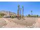 Expansive desert landscaped yard adorned with palm trees and rock border walkways at 1157 Morning Sun Way, Las Vegas, NV 89110