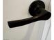 Close-up of a sleek, dark-colored door handle at 3005 Treasure Island Rd, Las Vegas, NV 89128