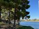 Tranquil waterfront view with trees and a bench, offering a serene community space for relaxation and enjoyment at 3005 Treasure Island Rd, Las Vegas, NV 89128