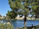 Scenic waterfront view framed by lush trees, showcasing the beautiful community setting and waterfront access at 3005 Treasure Island Rd, Las Vegas, NV 89128