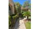 Well-manicured walkway leading to the home, surrounded by lush landscaping and mature trees at 3394 Brookfield Dr, Las Vegas, NV 89120
