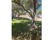 Expansive green lawn with mature trees and walking path creating a serene and inviting outdoor space at 3394 Brookfield Dr, Las Vegas, NV 89120