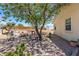 Backyard with mature trees and landscaped gravel area at 3640 E Vineyard Dr, Pahrump, NV 89048