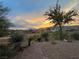 Backyard patio featuring desert landscaping and a brick patio, perfect for enjoying outdoor living at 4299 Fiore Bella Blvd, Las Vegas, NV 89135