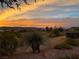 Scenic backyard view highlighting native desert landscaping and distant mountain views during a colorful sunset at 4299 Fiore Bella Blvd, Las Vegas, NV 89135