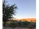 Desert landscaping surrounds a Southwest-style home with a mountain backdrop at sunset at 4299 Fiore Bella Blvd, Las Vegas, NV 89135