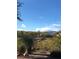 A Southwestern-style home with desert landscaping and mountain views under a blue sky with scattered clouds at 4299 Fiore Bella Blvd, Las Vegas, NV 89135