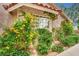 Charming exterior featuring climbing vines and well-maintained landscaping around windows at 9180 Mohawk St, Las Vegas, NV 89139