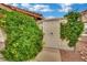 An elaborate metal gate adorned with lush green vines, adding a touch of elegance and privacy to the property at 9180 Mohawk St, Las Vegas, NV 89139