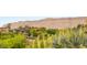 Picturesque neighborhood view with desert landscape, offering privacy and tranquility at 11453 Glowing Sunset Ln, Las Vegas, NV 89135
