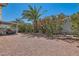 Large gravel backyard with a covered patio and mature trees at 3629 Ferrell St, North Las Vegas, NV 89032