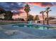 Sparkling pool featuring a slide, framed by mature palm trees and well-manicured landscaping at 4061 W Eldorado Ln, Las Vegas, NV 89139