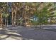 Expansive driveway surrounded by tall trees offering a private and serene setting at 5159 N Monte Cristo Way, Las Vegas, NV 89149