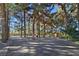 A vast driveway surrounded by a dense forest of towering trees, offering peace and tranquility at 5159 N Monte Cristo Way, Las Vegas, NV 89149