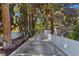 Long driveway leading to a home surrounded by mature trees and lush landscaping at 5159 N Monte Cristo Way, Las Vegas, NV 89149
