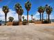 Desert landscape, fenced yard, mature palm trees in this rural Nevada residence at 542 Bonelli Ave, Overton, NV 89040