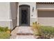 Close-up of front door with decorative security screen and well-maintained landscaping at 12844 New Providence St, Las Vegas, NV 89141