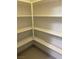 Walk-in pantry showcasing ample shelving space for organized storage at 12844 New Providence St, Las Vegas, NV 89141
