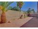 Backyard with desert landscaping, privacy wall, young plants, and decorative palm trees at 981 Buffalo River Ave, Henderson, NV 89002