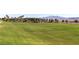 Expansive green space for recreational activities in a Primary planned community with mountain views at 10049 Cardinal Knoll Ave, Las Vegas, NV 89143