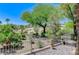Spacious backyard view showcasing mature trees and lush desert landscaping at 10237 Andante Ct, Las Vegas, NV 89135