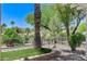 Landscaped backyard with lush greenery, palm trees, and decorative rock at 10237 Andante Ct, Las Vegas, NV 89135