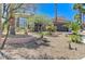 Charming single-story home featuring a desert landscaped front yard with stone accents and mature palm trees at 10237 Andante Ct, Las Vegas, NV 89135
