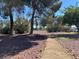 Beautifully landscaped grounds featuring mature shade trees and manicured greenery, creating a peaceful retreat at 111 E Van Wagenen St, Henderson, NV 89015