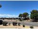 Quiet street view showcases well-maintained landscaping and mature trees, creating an inviting neighborhood setting at 111 E Van Wagenen St, Henderson, NV 89015