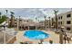 Community pool with lounge chairs and palm trees, creating a relaxing outdoor oasis at 2064 Mesquite Ln # 102, Laughlin, NV 89029