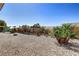 Backyard with desert landscaping and an inviting pool at 2183 Waterton Rivers Dr, Henderson, NV 89044