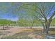 Lush green space with mature desert landscaping and walking paths at 2410 Sunburst View St, Henderson, NV 89052