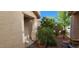 Inviting entryway with well-maintained landscaping and neutral-toned exterior at 3131 Binaggio Ct, Las Vegas, NV 89141