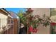 Charming side yard with flowering vines and secure gated access, perfect for privacy and security at 3131 Binaggio Ct, Las Vegas, NV 89141