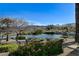Scenic pond view with palm trees, lush landscaping, and mountains in the background at 4802 Regalo Bello St, Las Vegas, NV 89135