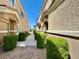 A townhouse exterior is framed by trimmed hedges along a walkway at 4830 Double Down Dr # 102, Las Vegas, NV 89122